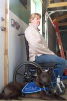 Attached Image: canineangel1.JPG
