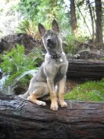 Lola_2010_02_15_1.jpg