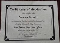 darmoks level 1 certification.jpg