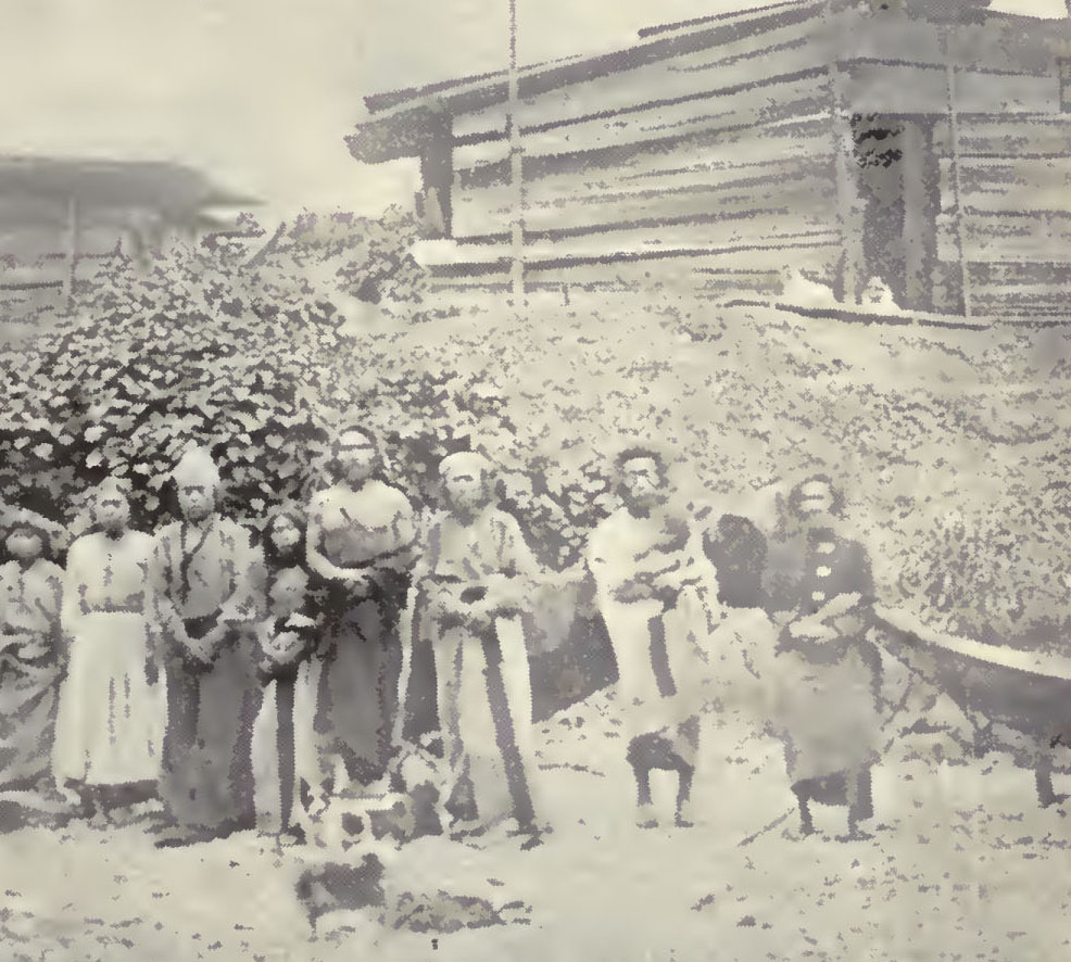 Berkeley Anthropological Records And The Dogs Of The West 