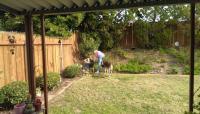 Mickey &amp; Dogs gardening.jpg