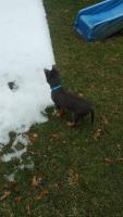 baby in snow small.jpg