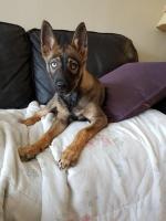 khya sofa.jpg