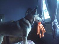 Attached Image: 2010_06_08_06.09.26.jpg