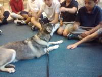 Attached Image: 2010_06_09_09.16.42.jpg