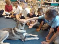 Attached Image: 2010_06_09_09.17.13.jpg