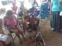 Attached Image: 2010_06_12_16.07.14.jpg