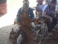 Attached Image: 2010_06_12_16.29.08.jpg