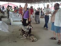 Attached Image: 2010_06_13_14.22.08.jpg