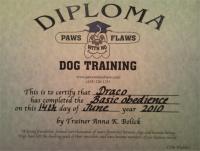 Draco__s_Diploma.jpg