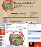 Attached Image: dognews.jpg