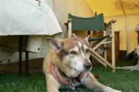 Attached Image: liz5.JPG