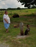 112. Buffalo near fossil rim, TX (10).jpg