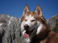 Attached Image: Phillis.jpg