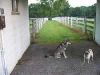 Attached Image: mix_match__pictures_035.jpg