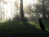 Wicca Morning Guard.jpg