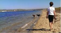 Santee Fiesta Island 2.jpg