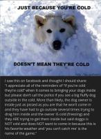 cold dogs.jpg