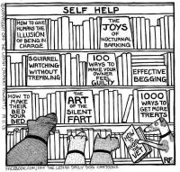 dog library.jpg