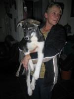 Attached Image: 232_IMG_0475.jpg