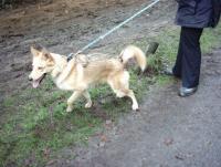 Attached Image: 014_IMG_0025.jpg