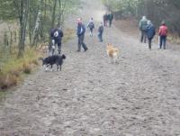 Attached Image: 015_IMG_0026.jpg